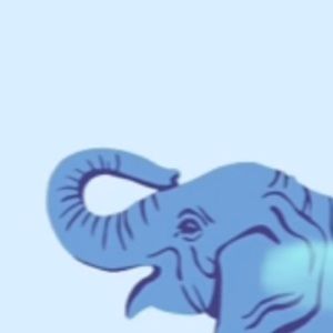 Meet your Posher, Meghan